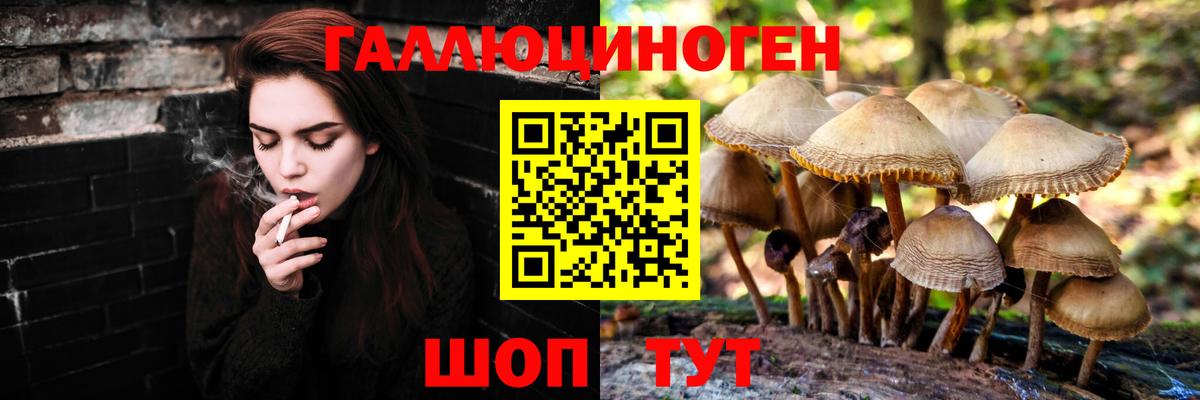 Волжский  Галлюциногенные грибы Cubensis  Вход с VPN  Галлюциногенные грибы Psilocybine cubensis 